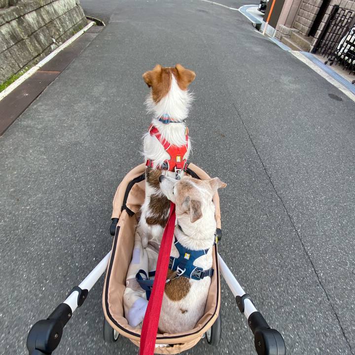 510b9a66 ed1a 4715 8d7a 5ff67c634d2f 1672458745870