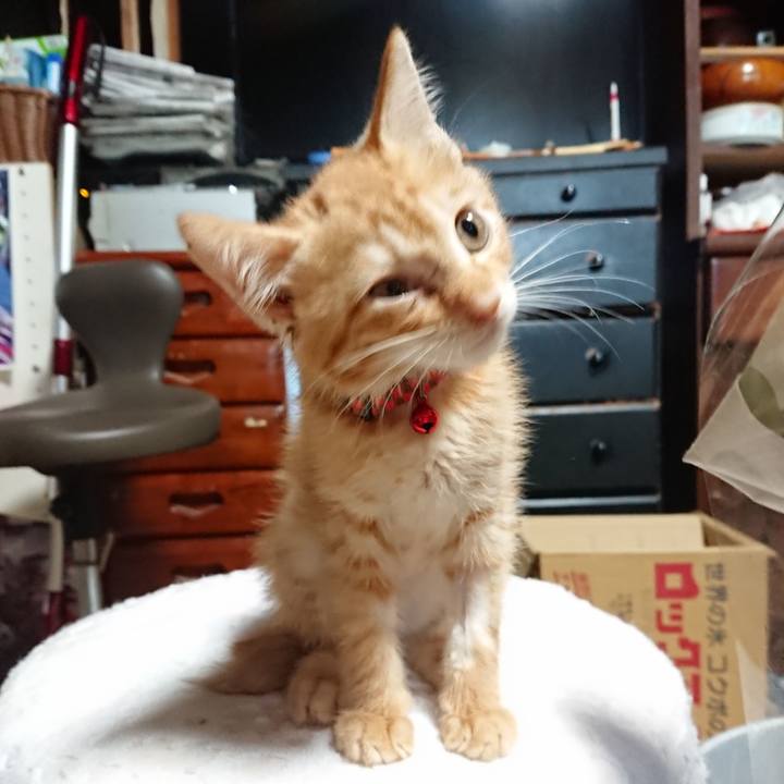 510bb9c8 cc09 4909 a848 0aaed9c0b6b7 1628630651780