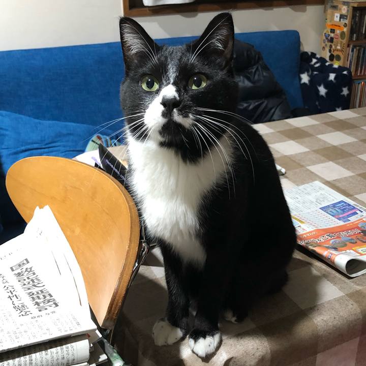 510bcda5 a37a 4a28 acdf e3ed4cb71dd9 1577789840551