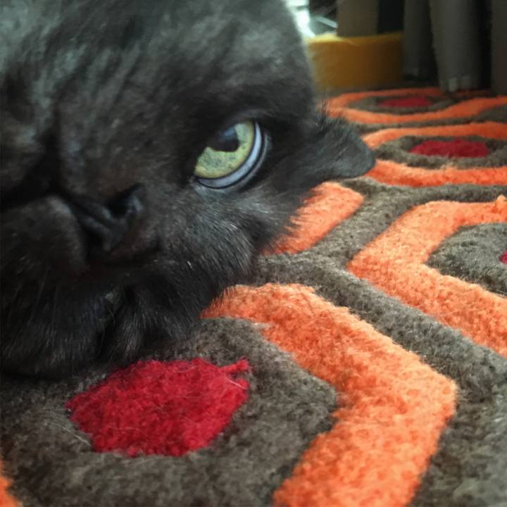 510bf7fa 2333 4376 a71d b4eff81d0bb5 1565317781850