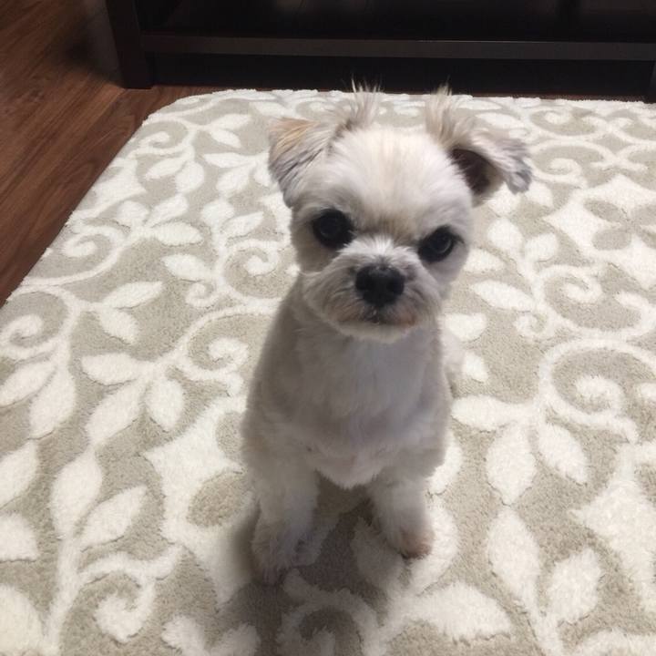 510c0fa1 23e8 4183 8fb8 1c15855169d6 1542106397134