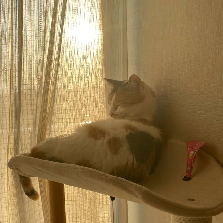 510c1804 5b8a 487c 9ef8 3984272bc899 1651579068591