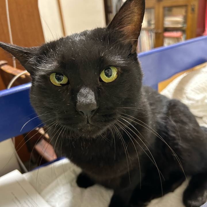 510c1f25 18ee 4606 a638 3f26ade86e3a 1760442132243