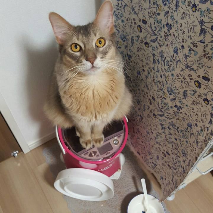 510c27fd 0342 4f57 a8e2 2c05ab1e1020 1548762581313