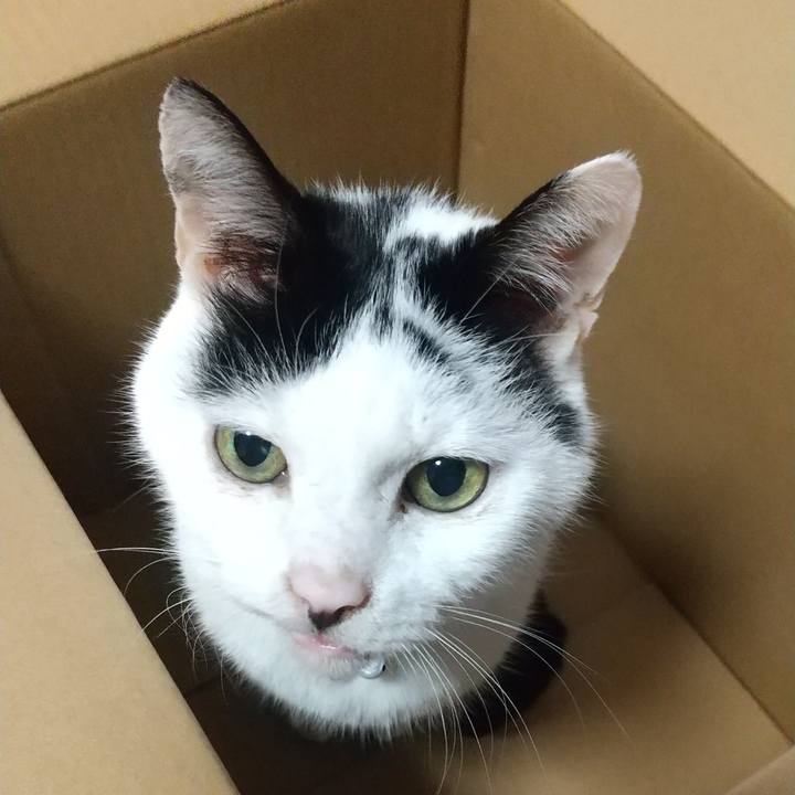 510c30fd 1431 4472 b6ad 460c9a541a3c 1744688954212