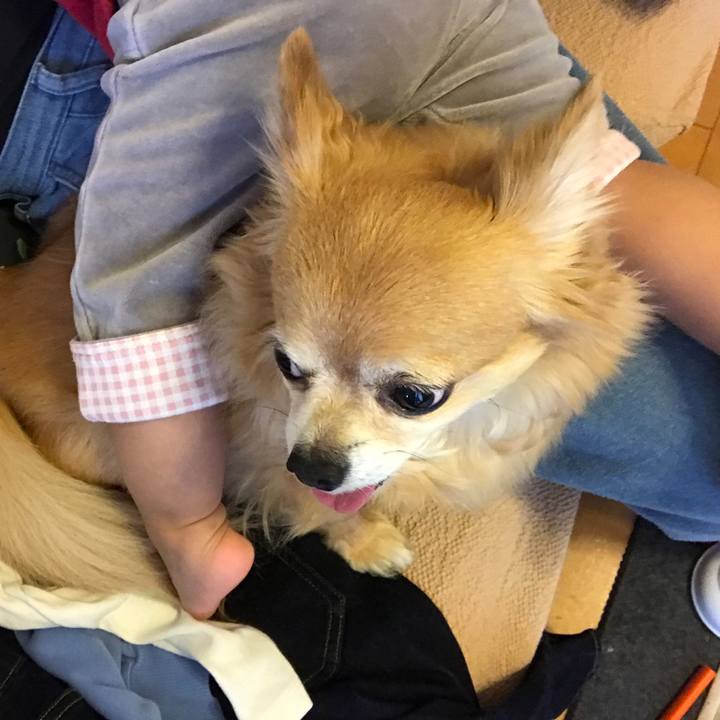 510c3d84 a9f6 47a3 b535 daa3d16f542e 1545790065445