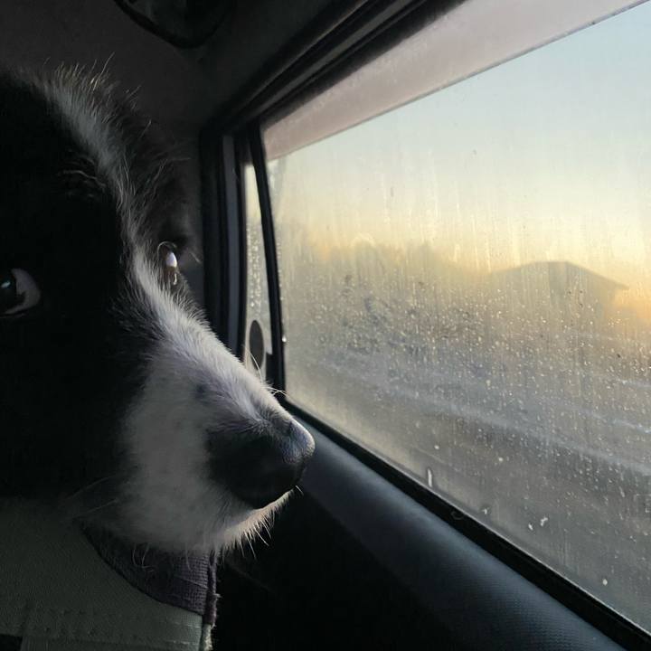 510c4574 3434 4a9a 9eb8 6fb75becf76d 1675116300603