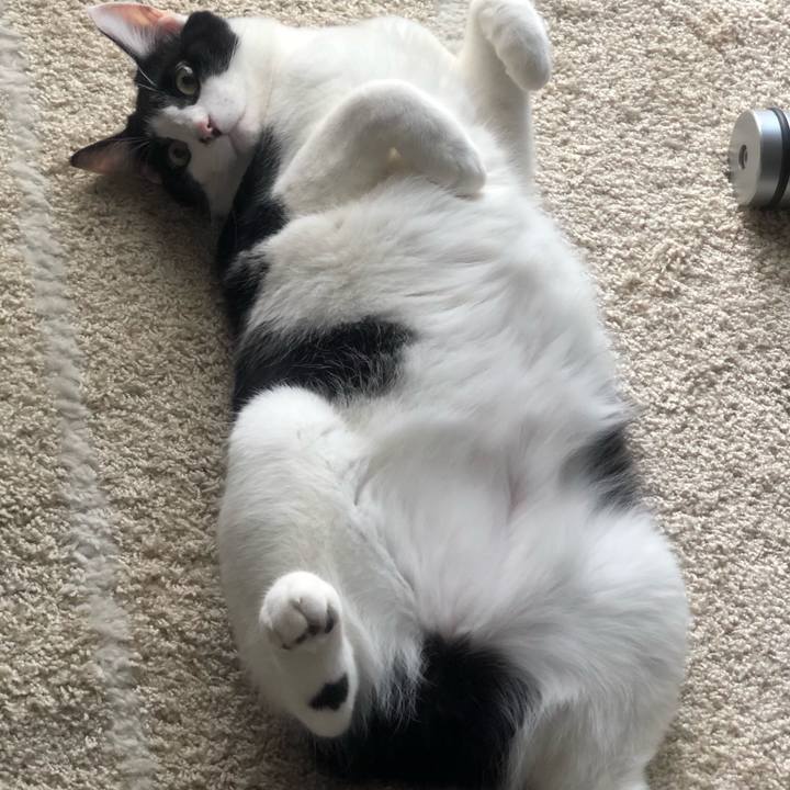 510c5f4d 12ff 48ed 9442 818cbbb0a546 1632960723667