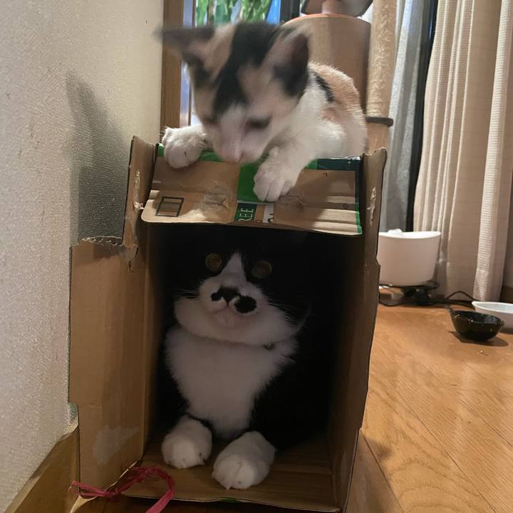 510cfe24 a7d6 4a09 b9b0 c48f1c9c2828 1662372038683