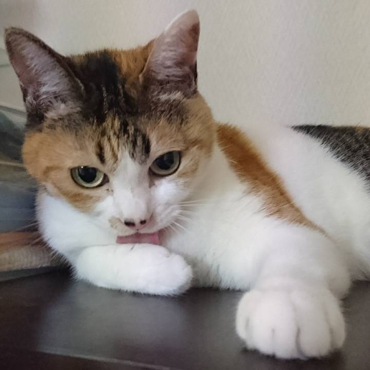 510d1dfa e824 41a1 aa4b 1ad6b4dc2d61 1534333606496