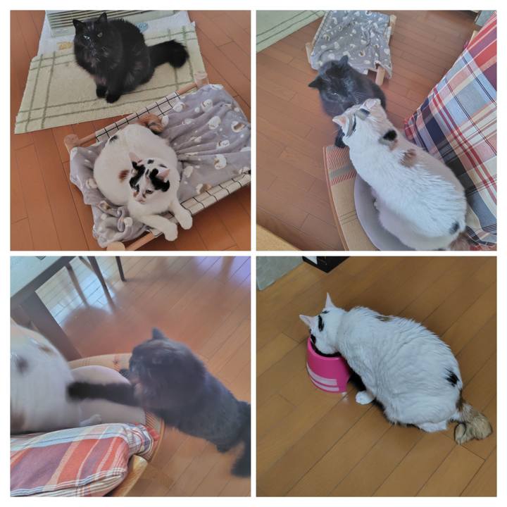 510d3a9a 3215 493c 85fc 3114c0afb285 1765874709105