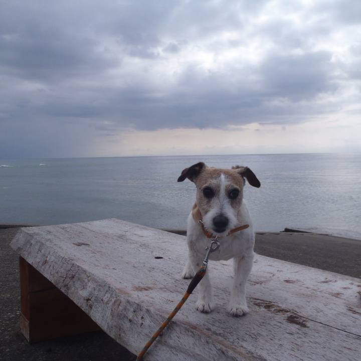 510d430a 0597 4793 aa09 296872c03900 1526210199169