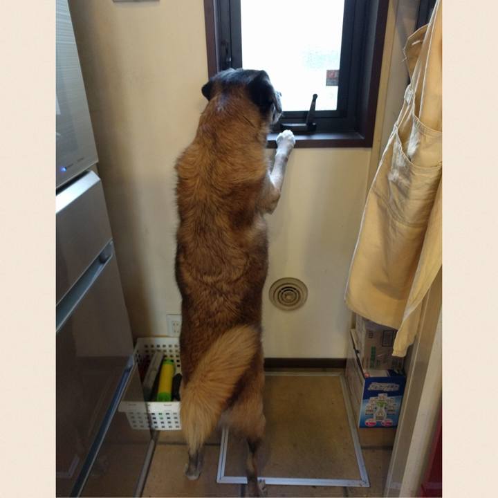 510d6321 accc 4932 a540 65406aaf80e2 1742518911456