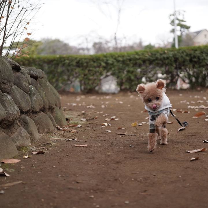 510d6f89 7056 4467 ab87 5183ebc5193c 1698928884265