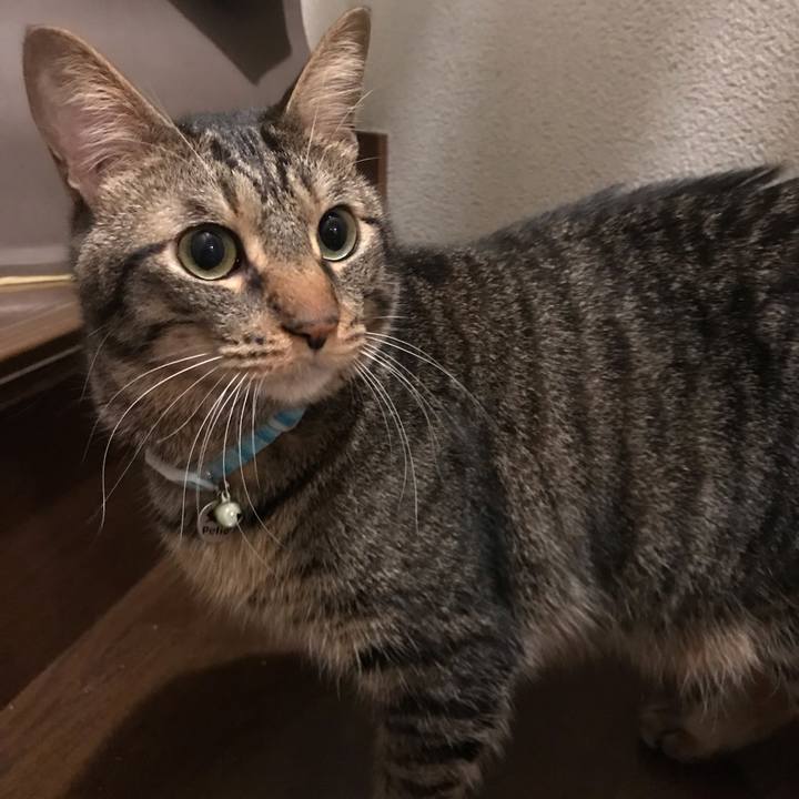 510d9d4b 5516 459f ac63 ecd4effba64c 1542373673639