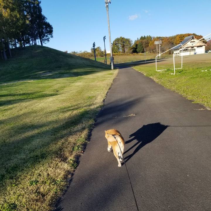 510dc051 435c 4012 9f98 22265e602336 1667716358234