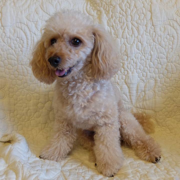 510dc347 d09b 4060 8dd6 f28d74087c2a 1631964840951