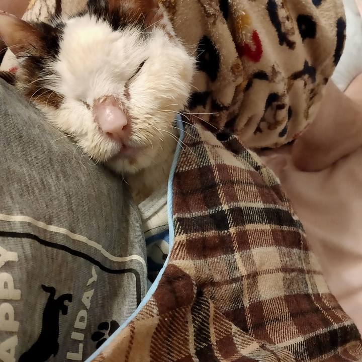 510dc672 a6ea 4f57 b37a ef3eb4804ced 1614866896168