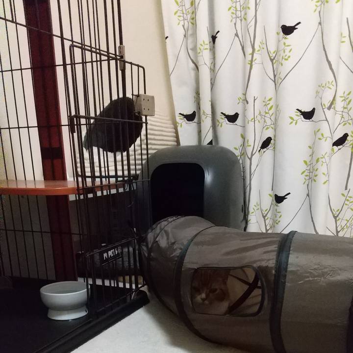 510dd050 a640 4d97 bcb4 9d22712ec3e6 1658928777155