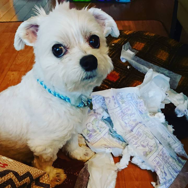 510ddc27 7b3b 4c34 9a76 baf82e403798 1552287597792