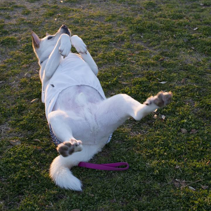 510df1bb 1a4d 4ac5 978b d24e21368775 1553467576459