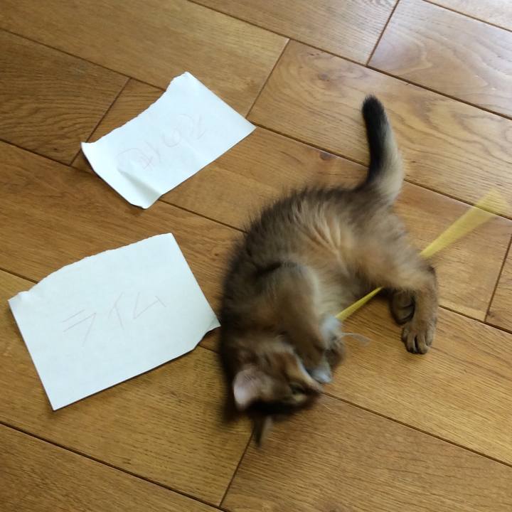 510df3f0 a45b 4a6f 988b e0452c6bf120 1572691225725