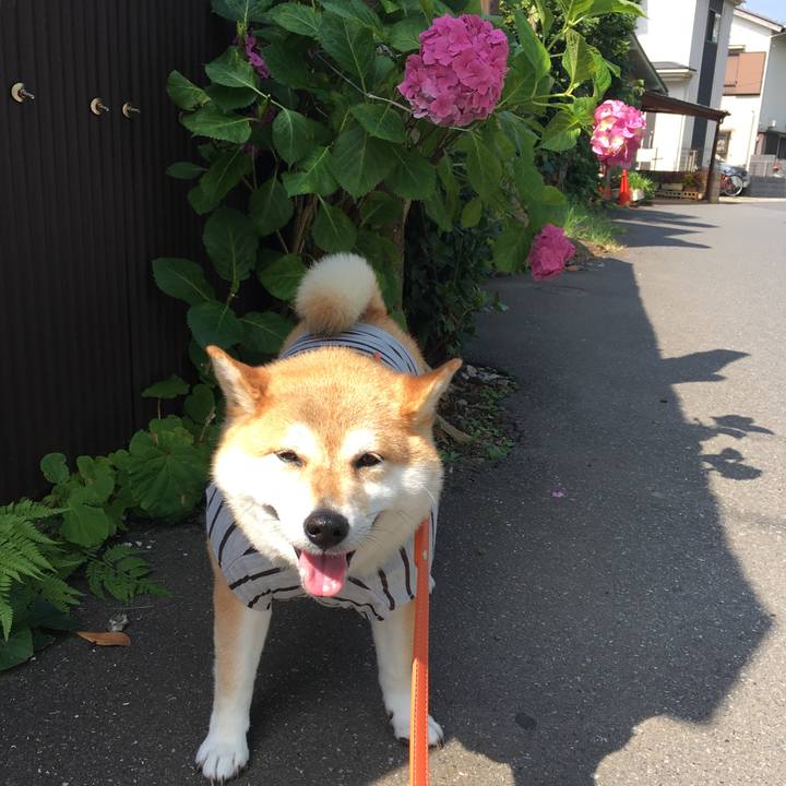 510dfc4f 9f13 4a12 9237 df82cc227f50 1561507799035