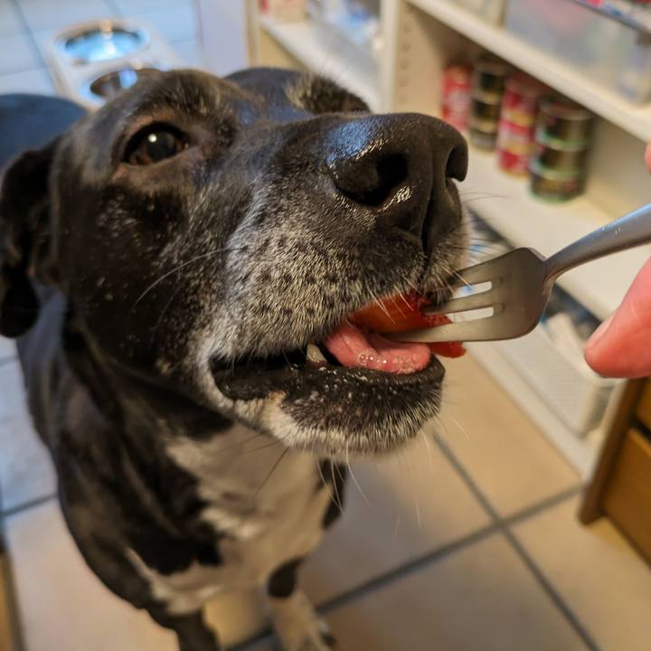 510e22af f194 4ef2 b2b7 69b91f4f4bdb 1713784021691