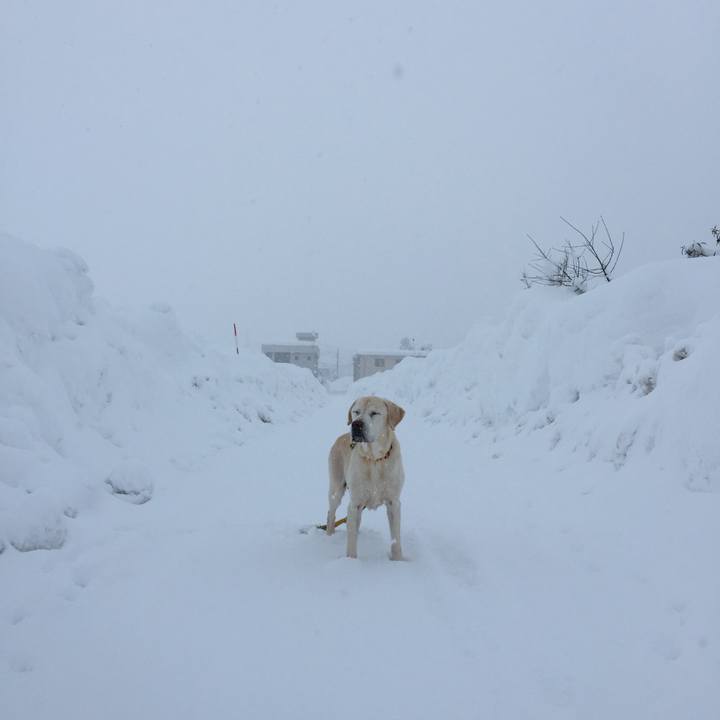 510e3df6 45ee 4b61 bc4a 443a696eb786 1579352355295