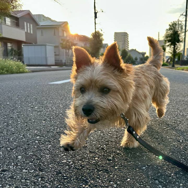 510e5ab6 6329 453b 9059 8a72da0d3606 1754642977303