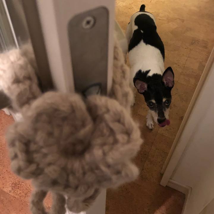 510e5fcb 3cb9 4c4d 9ed8 a988cd939282 1538909636550