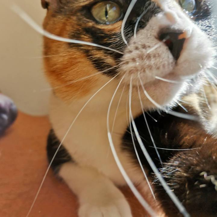 510e9795 825e 40dd 82fd 830fa452a9fc 1647781816141