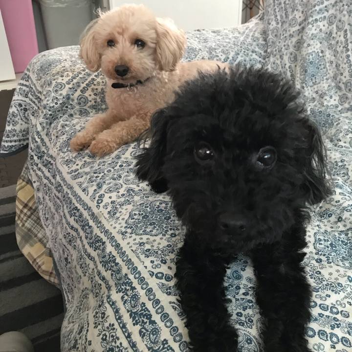 510eba28 14ff 4886 b22a 6f778e41470f 1532902815133