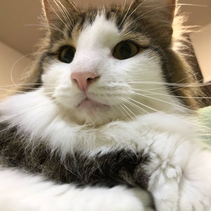 510eeb53 0517 4e3d 9aca 8da43788bb6e 1593057334513