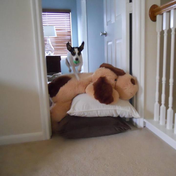 510f0a74 93b8 40f5 a55e f4cd44e9539c 1722550165163