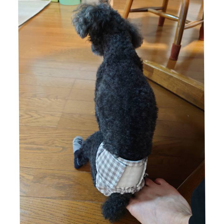 510f2263 b4c9 4d32 bb11 ff454822c8e8 1758093088671