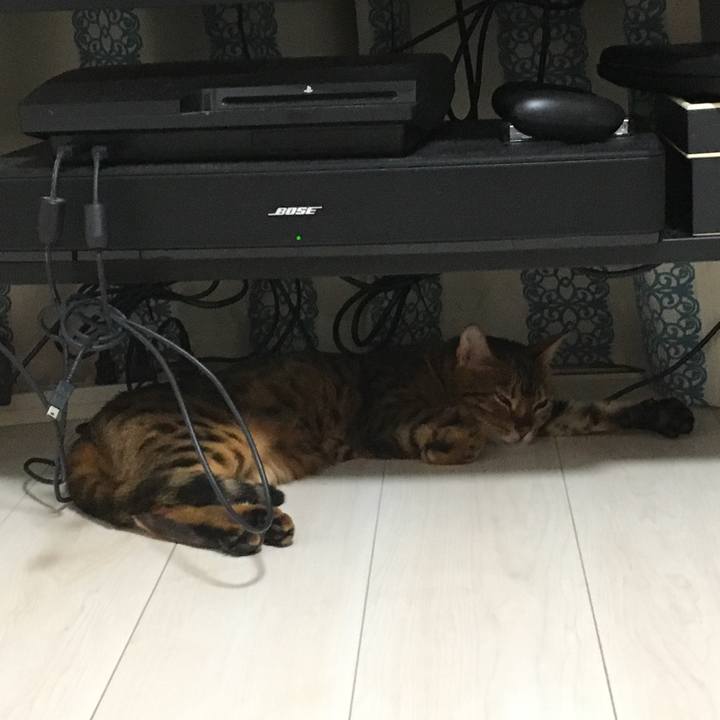 510f357d 75e9 4209 94e2 52604ff2f155 1534078958481