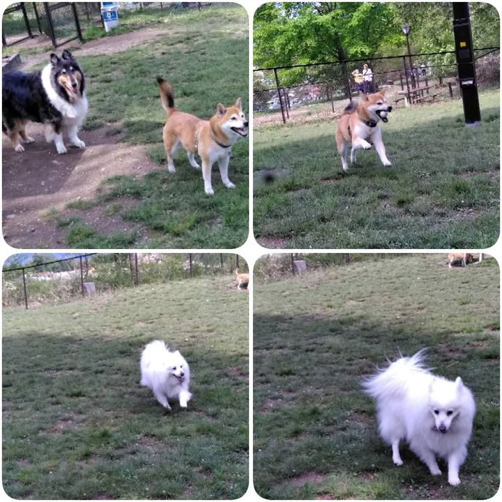 510f5c09 f4d1 4b12 a7e8 b794ca107981 1557151789279