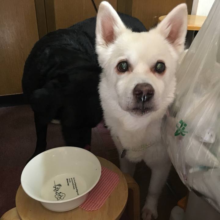 510f9396 d59b 437e 975d 81feb4e38632 1527121217322