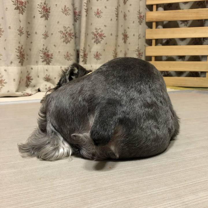 510faea4 a4f5 4369 aea6 73ea032adc7c 1627997623500