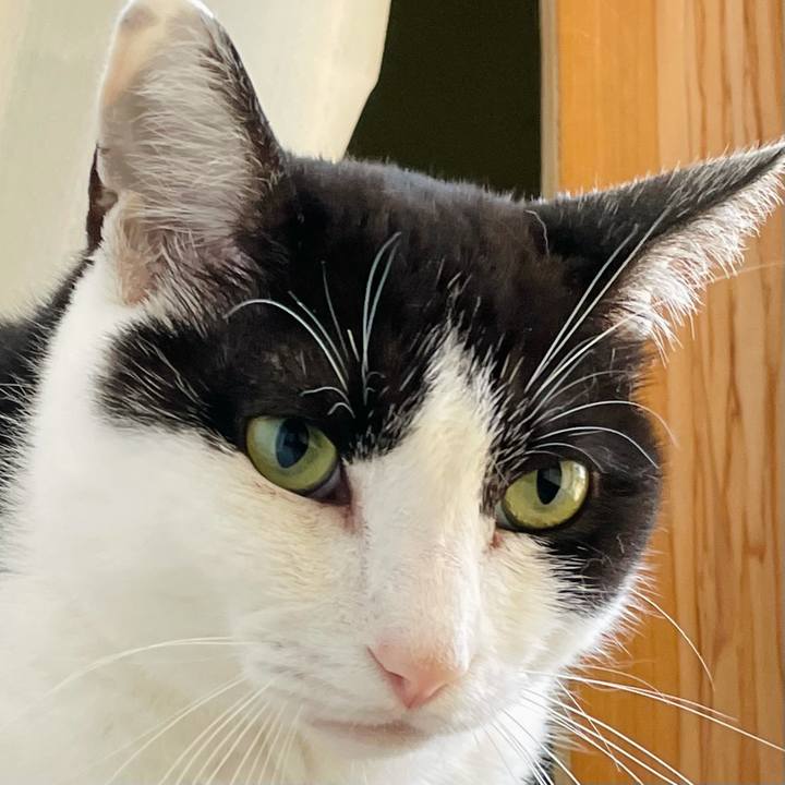 510fb4cc 6239 4316 8925 f9be56be5a5b 1628298618793