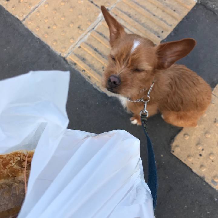 510fd222 821b 4b31 8bd4 8c1a8f61ecce 1552031532101