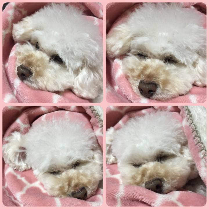 510ff780 ae34 4e70 99fb 605c3421a0df 1514454438429