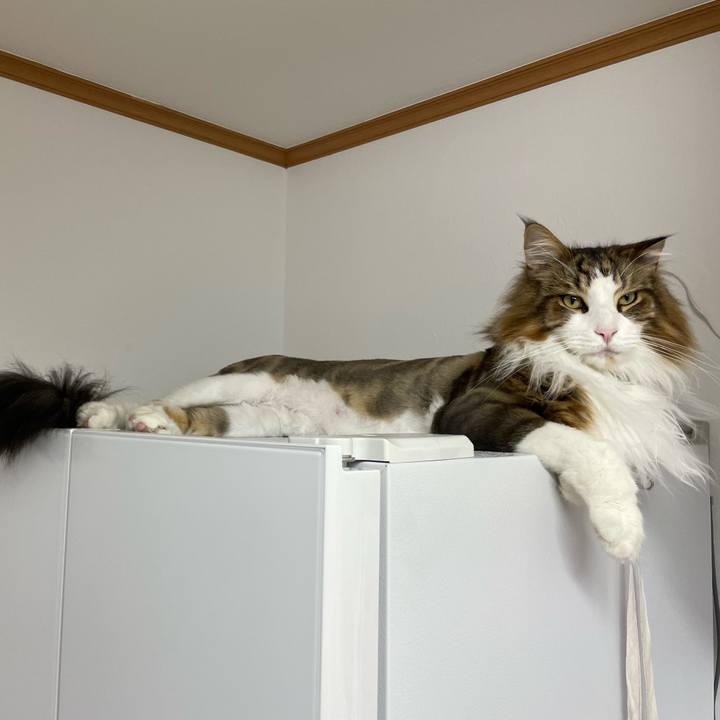 510ffa39 5274 4732 8179 f0729590c228 1688156221174