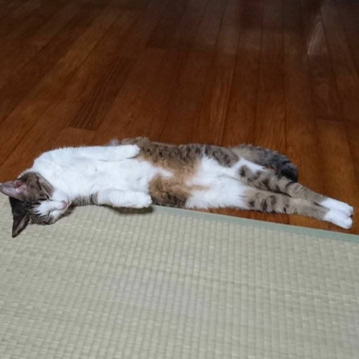 510ffc13 a510 4e09 aae7 d1831b01e7cd 1555588169250