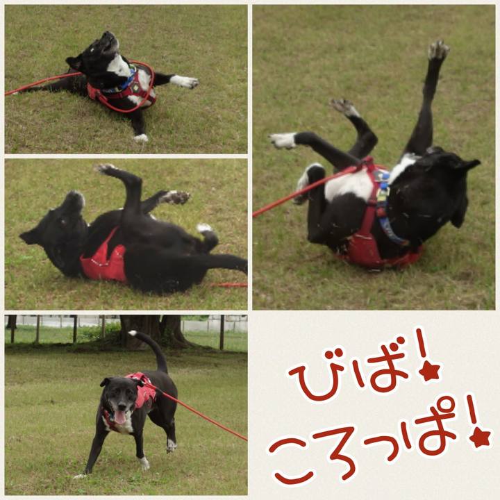 51100def 708b 4cbd 8878 2f428edc3248 1684456858259