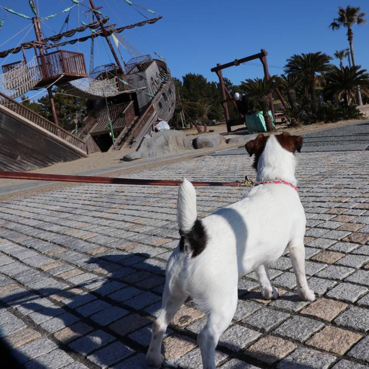 511031b5 1f59 4727 ba43 ff315aac35ed 1515032893003