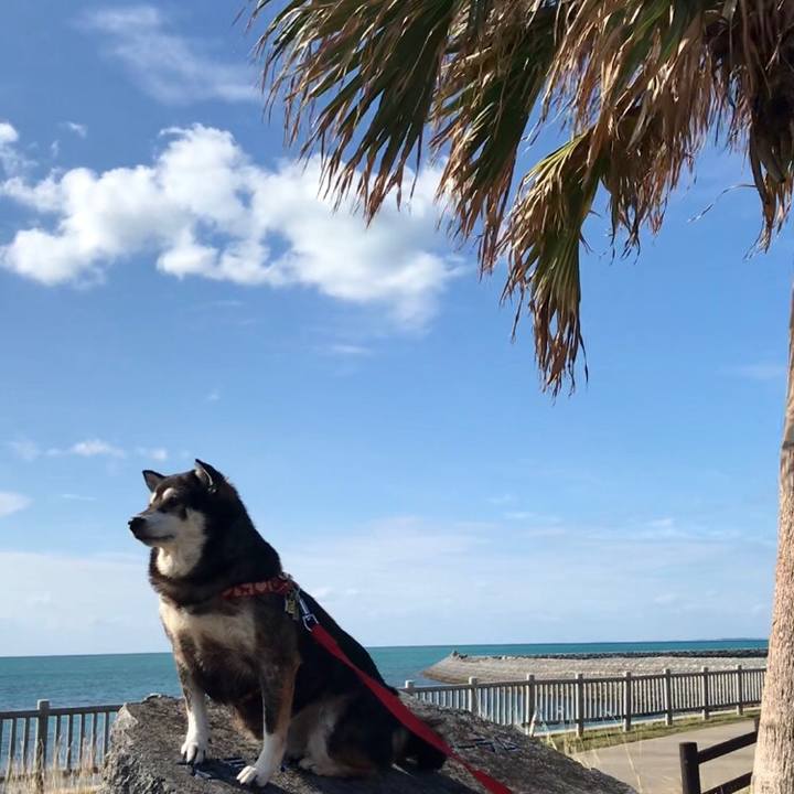 51103a6d b6f9 4620 99e5 7c35aebf7240 1639879766101