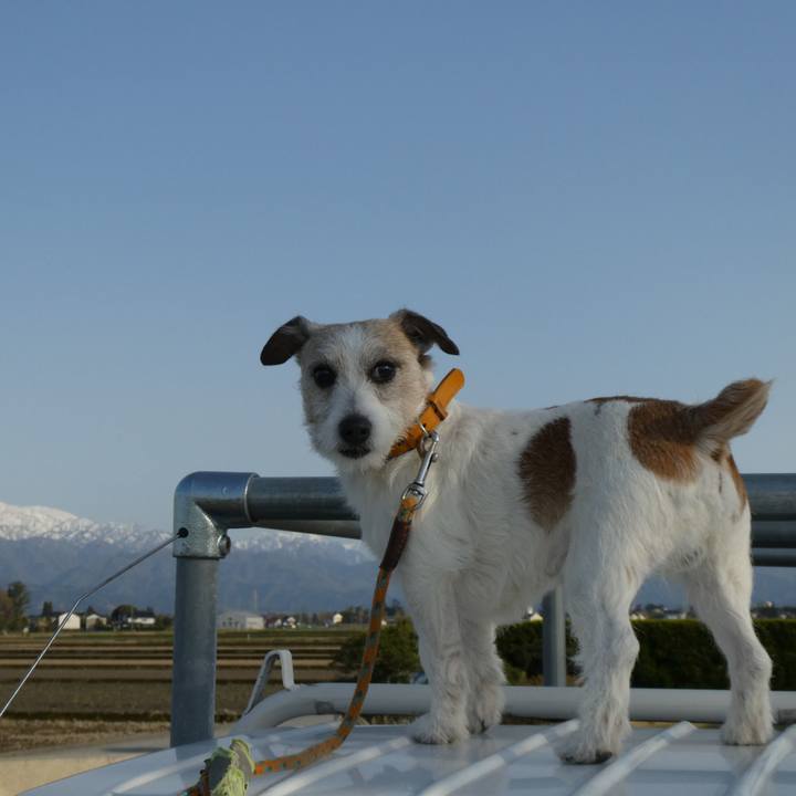 5110520a 161f 4104 80fd a2a74c1d3606 1588170479345