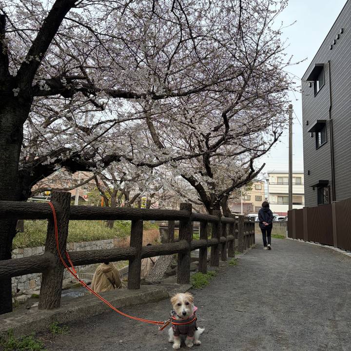 511066a1 b6a2 4c30 8eab 8a650d8fdda6 1774169361151